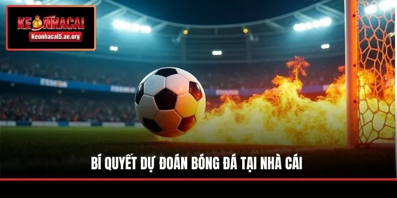 Bí quyết dự đoán bóng đá tại nhà cái