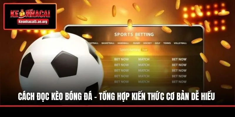 Cách Đọc Kèo Bóng Đá - Tổng Hợp Kiến Thức Cơ Bản Dễ Hiểu