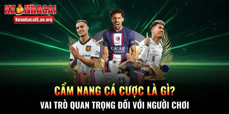 Cẩm nang cá cược là gì? Vai trò quan trọng đối với người chơi