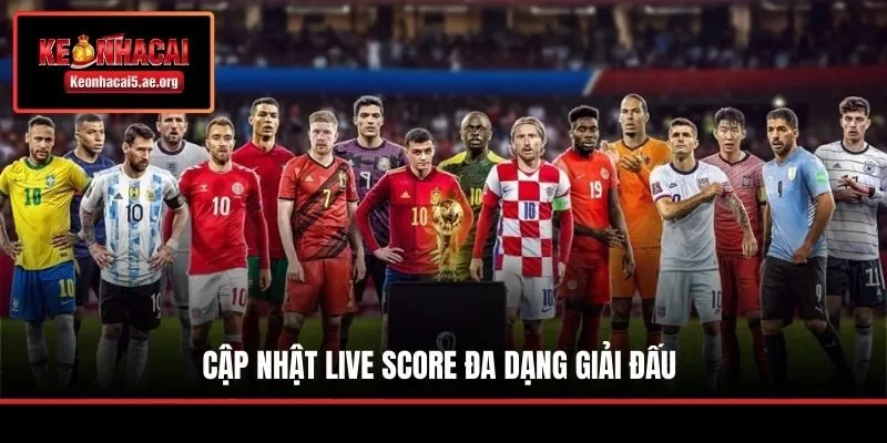 Cập nhật live score đa dạng giải đấu