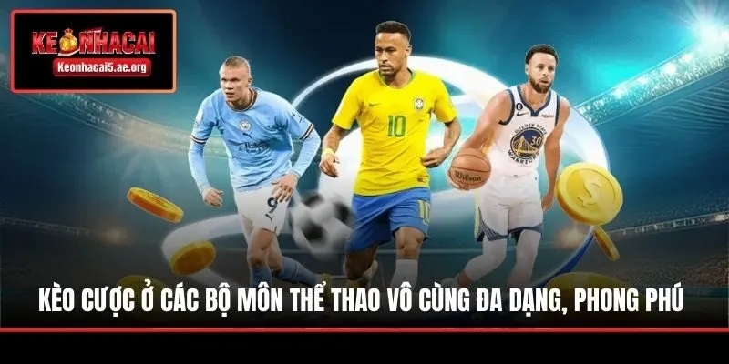 Kèo cược ở các bộ môn thể thao vô cùng đa dạng, phong phú