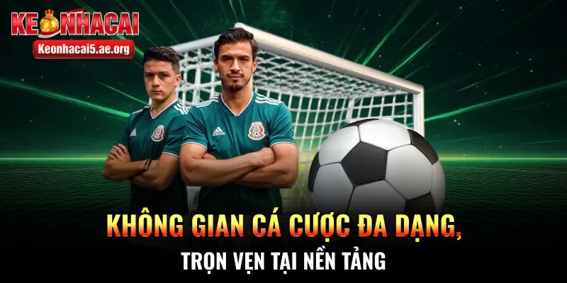 Không gian cá cược đa dạng, trọn vẹn tại nền tảng