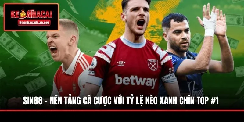 Sin88 - Nền Tảng Cá Cược Với Tỷ Lệ Kèo Xanh Chín Top #1